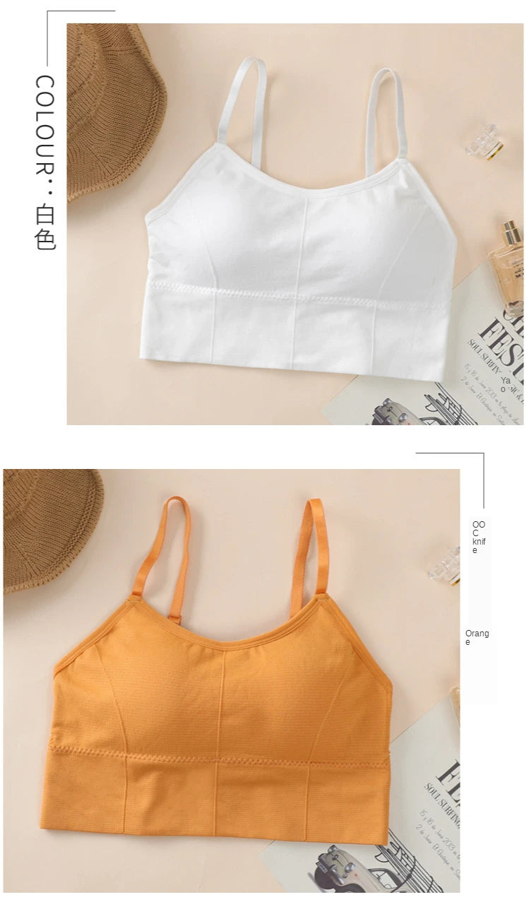 Seamless Sports Bra - Kim's Kloset