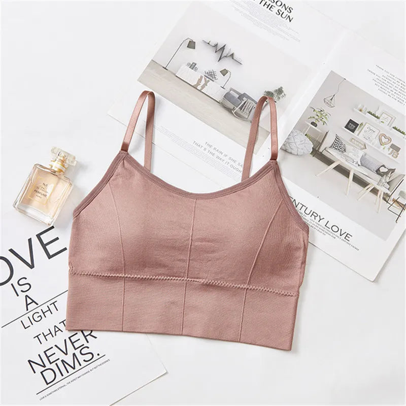 Seamless Sports Bra - Kim's Kloset