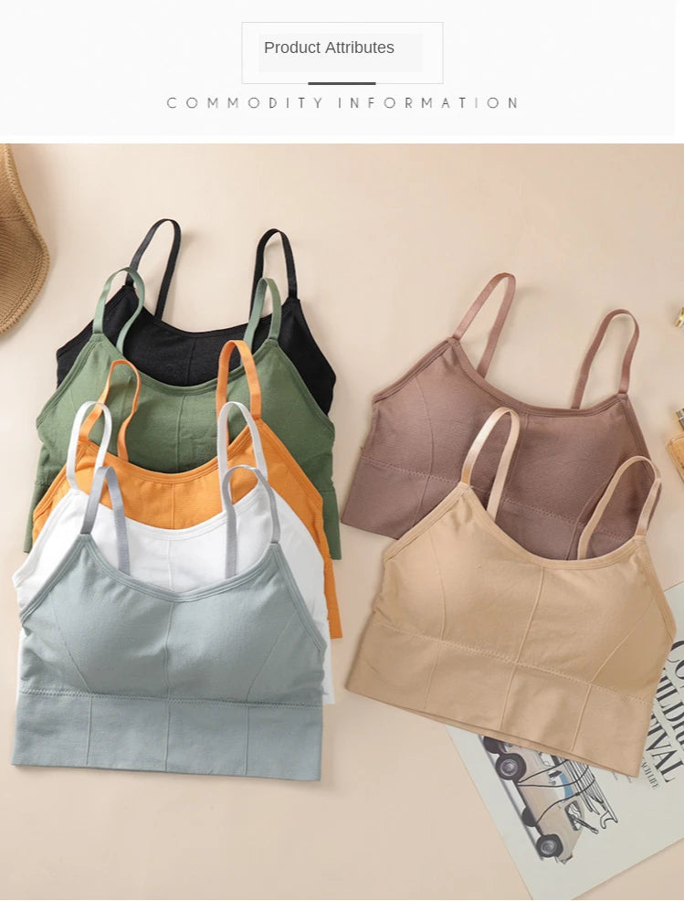 Seamless Sports Bra - Kim's Kloset