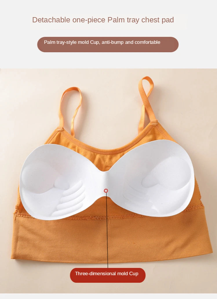 Seamless Sports Bra - Kim's Kloset