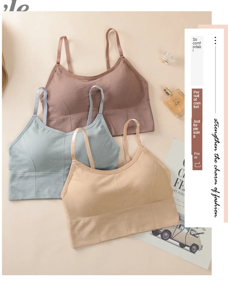 Seamless Sports Bra - Kim's Kloset