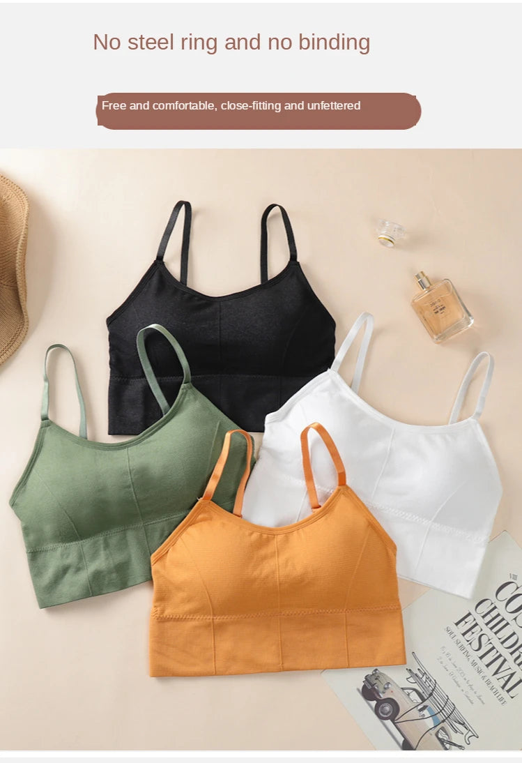 Seamless Sports Bra - Kim's Kloset