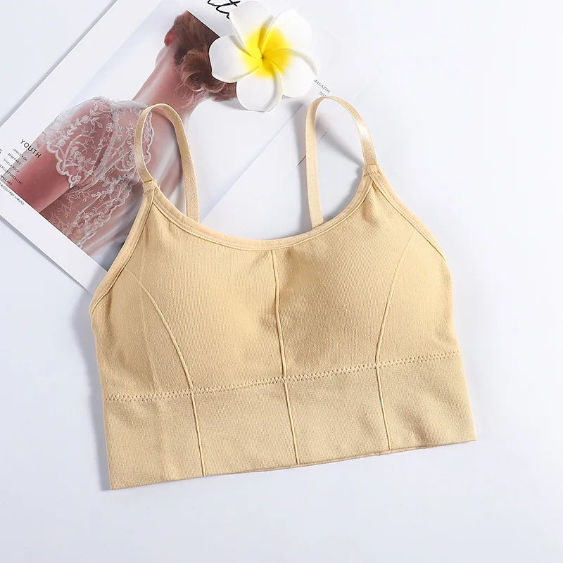 Seamless Sports Bra - Kim's Kloset