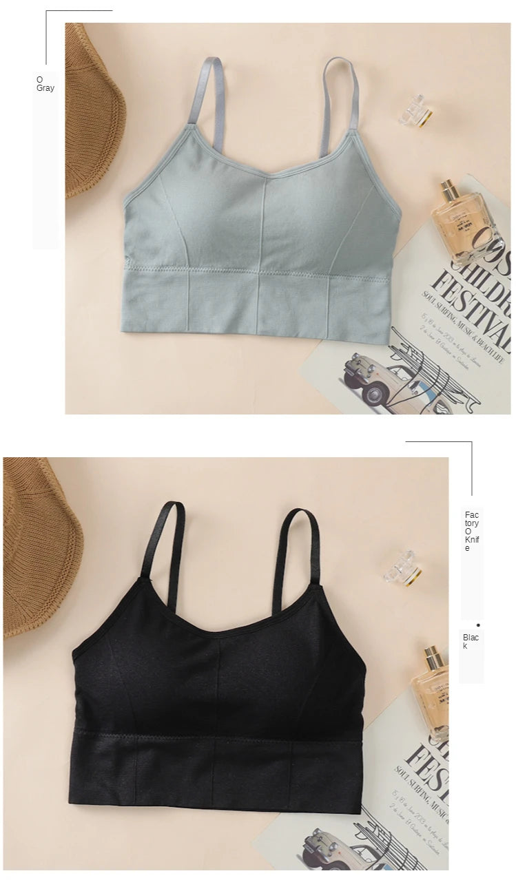 Seamless Sports Bra - Kim's Kloset
