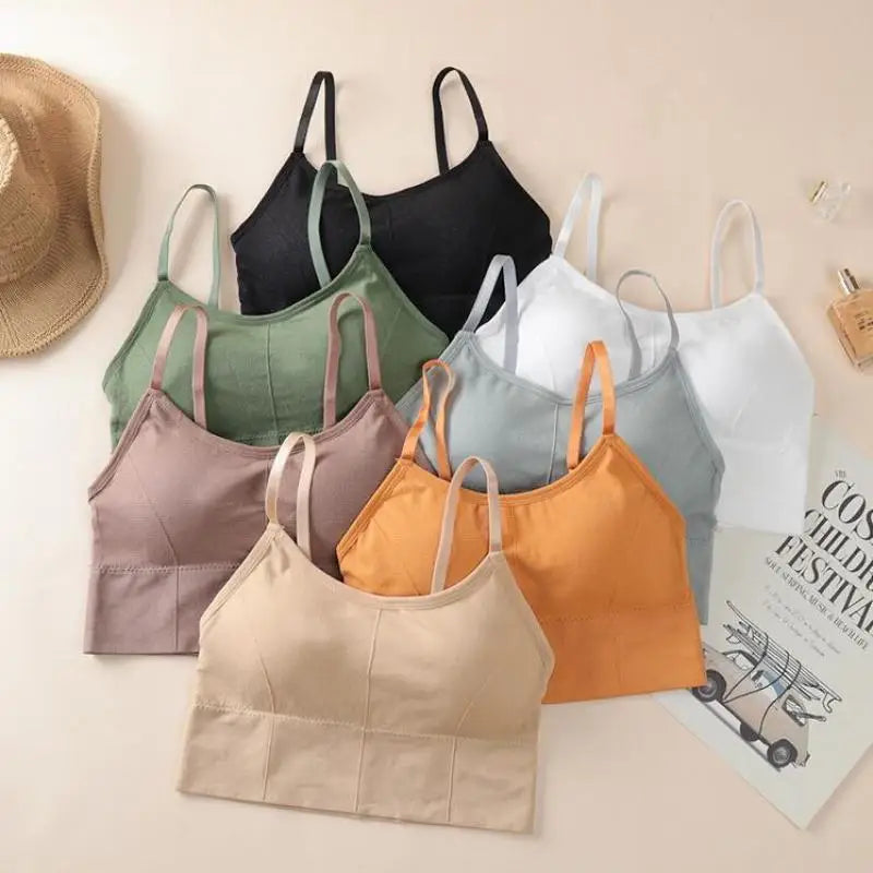 Seamless Sports Bra - Kim's Kloset