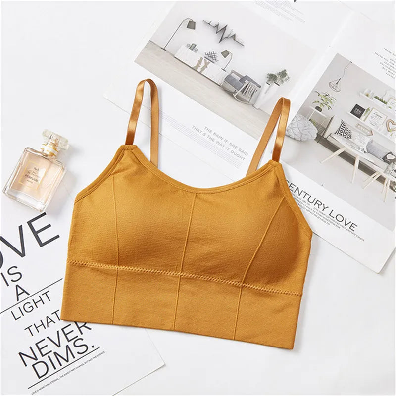 Seamless Sports Bra - Kim's Kloset