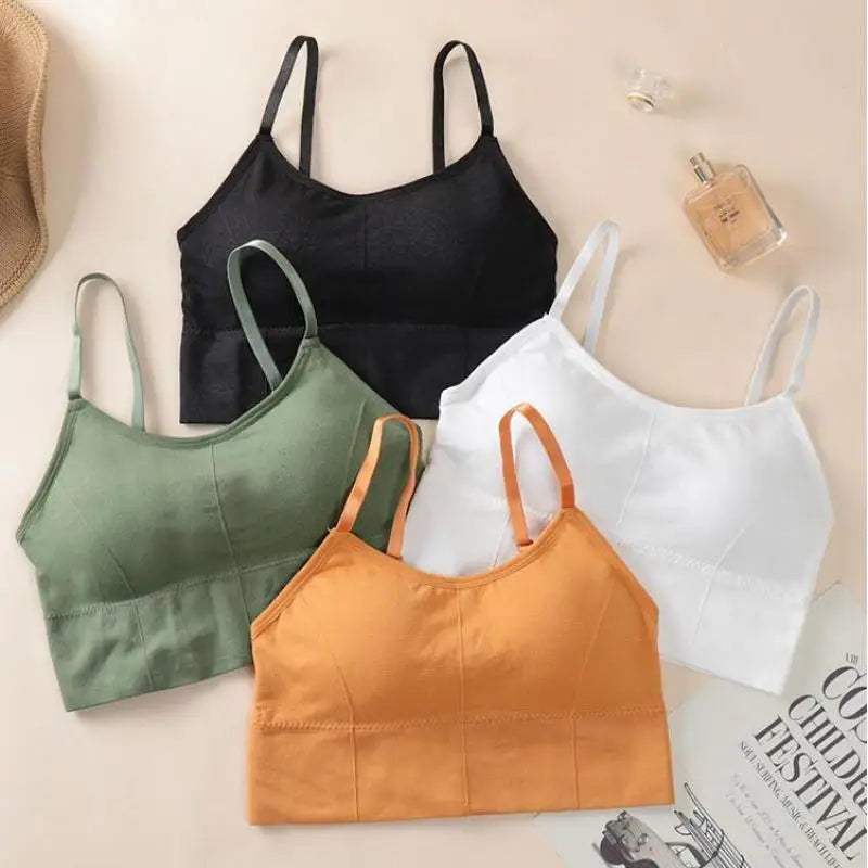 Seamless Sports Bra - Kim's Kloset