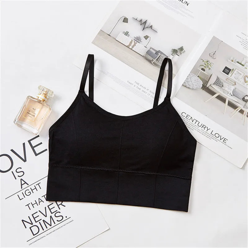 Seamless Sports Bra - Kim's Kloset