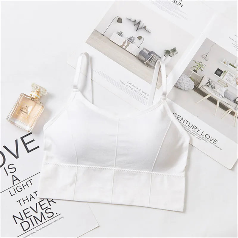 Seamless Sports Bra - Kim's Kloset