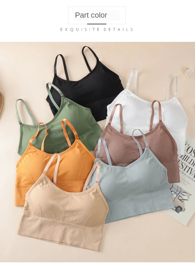 Seamless Sports Bra - Kim's Kloset