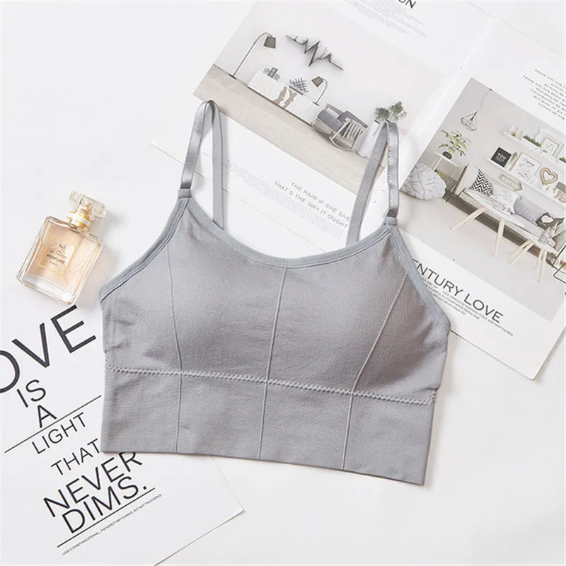Seamless Sports Bra - Kim's Kloset