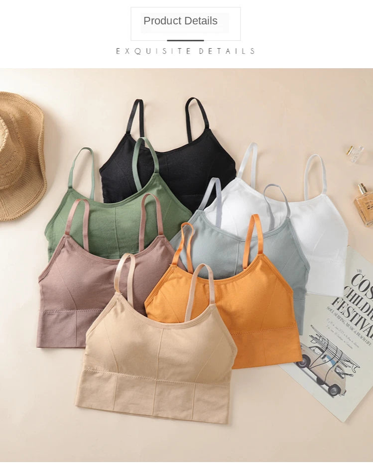 Seamless Sports Bra - Kim's Kloset